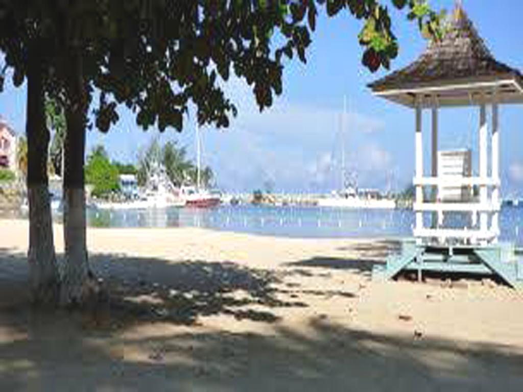Turtle Beach Towers Apt 22 C - Ocho Rios Ngoại thất bức ảnh