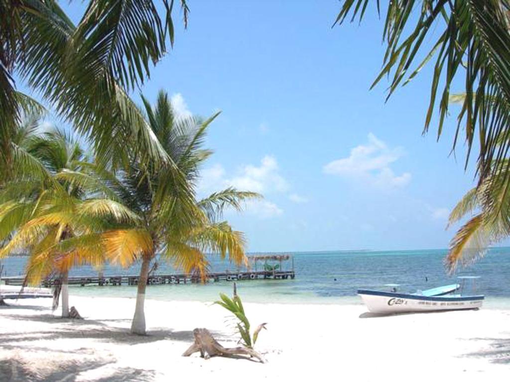 Turtle Beach Towers Apt 22 C - Ocho Rios Ngoại thất bức ảnh